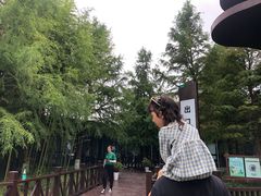 -黄海国家森林公园