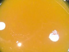 -真利味·脊骨火锅·正宗韩国料理(韩乐坊店)