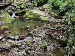 -本溪汤沟绿石谷森林公园