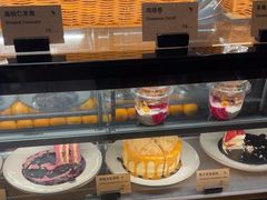 -Wagas沃歌斯(枫蓝国际店)