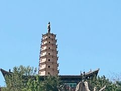 -放哈·甜醅子奶茶创造者(正宁路店)