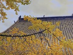 -金堂县云顶石城风景区