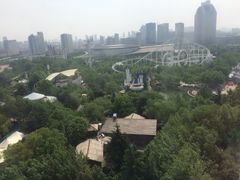 富华游乐园-富华游乐园