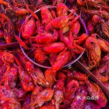 第一次实现小龙虾自由