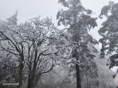 -峨眉山风景名胜区