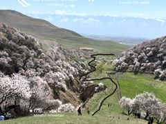 -新疆那拉提国家旅游度假区