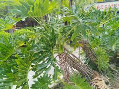 -白沙门生态公园