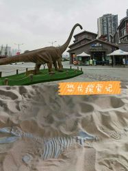-恐龙探索乐园(磁器口店)