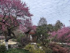 -杭州植物园