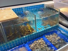 -韩胜·料理级自助烤肉海鲜火锅(财富港店)