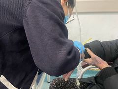 -上海市第六人民医院(临港院区)