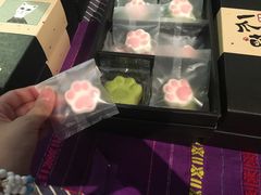 -猫咪博物馆(顶澳仔猫街店)