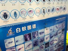 -上海科技馆(地铁站)