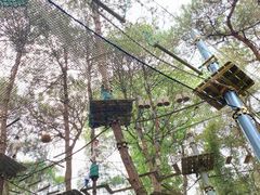 -芦仙山景区-飞越丛林探险乐园