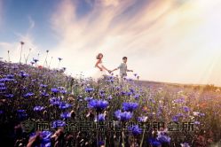 -施华洛婚纱摄影会所(范阳中路店)