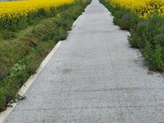 -中国天府农业博览园