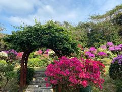 -三亚蜈支洲岛旅游区