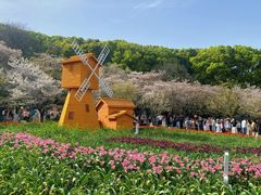 -苏州上方山国家森林公园