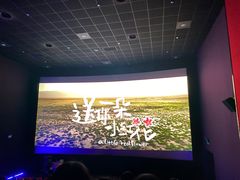 -武汉华夏国际影城(鲁广店)