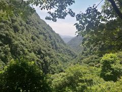 -旗山国家森林公园