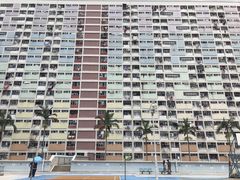 -彩虹村