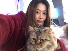 -极木²邸 人与宠物·互动社区