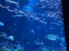 -暹罗海洋世界