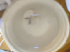 -罗家杏传统特色海南粉(人民西路总店)