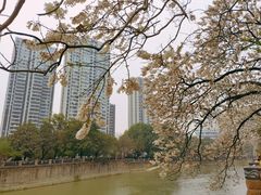 -红星桥(地铁站)