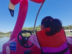 -大兴滨河森林公园