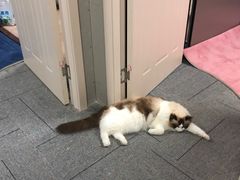 -零纪元VR体验馆·桌游(黄浦店)