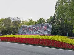-东平国家森林公园