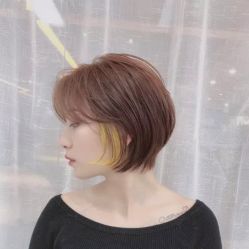 -环球蝶上美业连锁