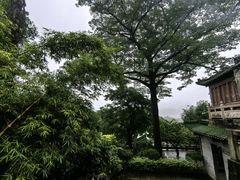 -鼎湖山风景区