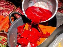 -阳阳老火锅(小南门店)