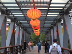 -运河游船(武林门码头)