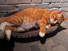 -門·屿 coffee&beer