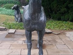 -元大都城垣遗址公园