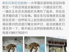 盛京一禾-盛京一禾