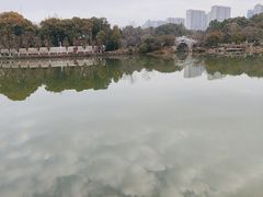 -八大山人梅湖景区