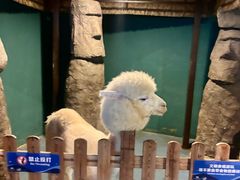 -重庆欢乐海底世界