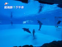 -横琴湾水世界