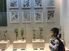-广东中医药博物馆