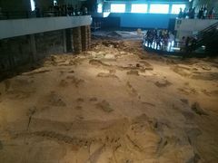 -自贡恐龙博物馆