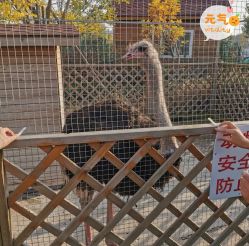 -萌宠亲子动物乐园(槐房万达店)