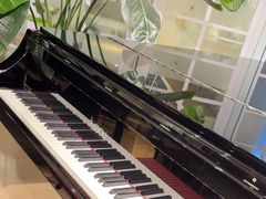 -柏斯音乐艺术中心·钢琴·吉他(上音店)