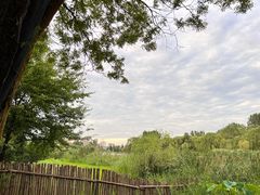 -Supine Bistro溯泮餐厅