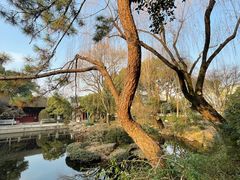 -秋霞圃