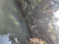 -杭州黄龙洞