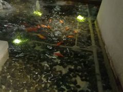 -大渔之观(安贞店)